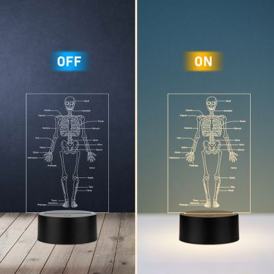 Human Body Skeleton Design Lamp